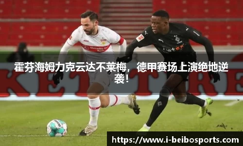 BB贝博体育