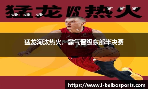 猛龙淘汰热火，霸气晋级东部半决赛