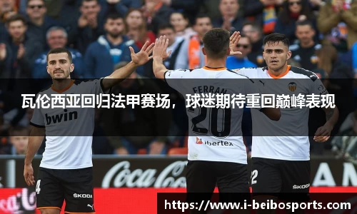 BB贝博体育