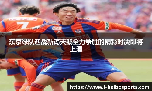 BB贝博体育