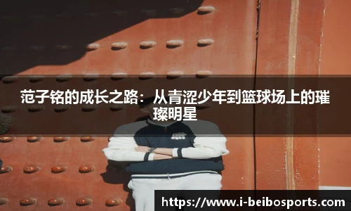 BB体育