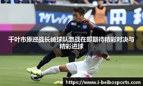 BB贝博体育